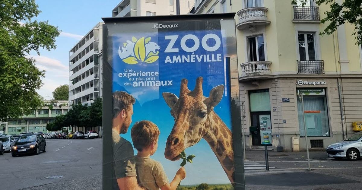 Mulhouse and its surrounding area. "Freewheeling": giraffes, true summer stars