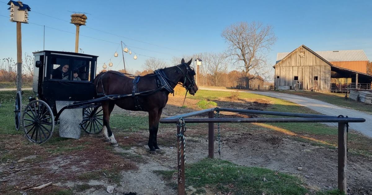 Unusual. An osteopath from Mulhouse travels to the United States and practices in Amish country.