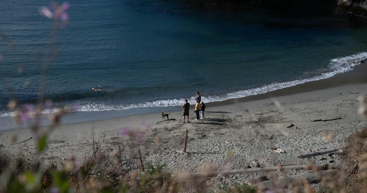 Sociedad. Desconectar en vacaciones: «La dictadura de la rentabilidad es monstruosa».