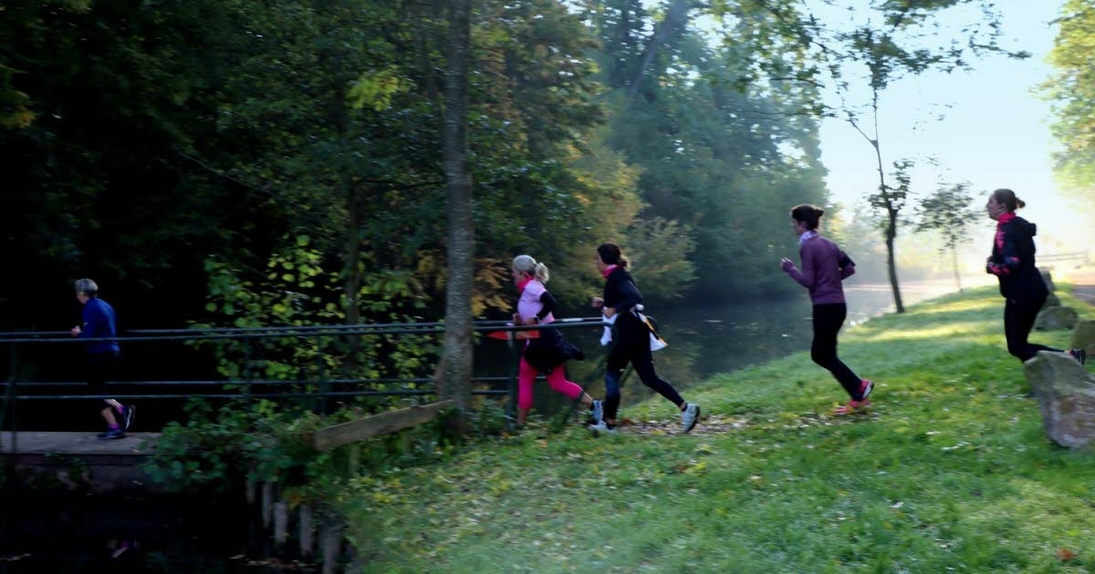 Eschau. Caminhe ou corra no mato até Esch'rose