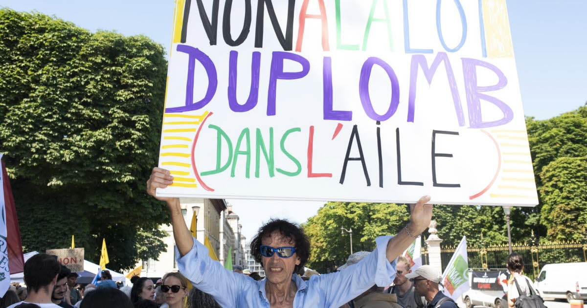 Agriculture. Duplomb Law: Petition against the bill gives hope to environmental defenders