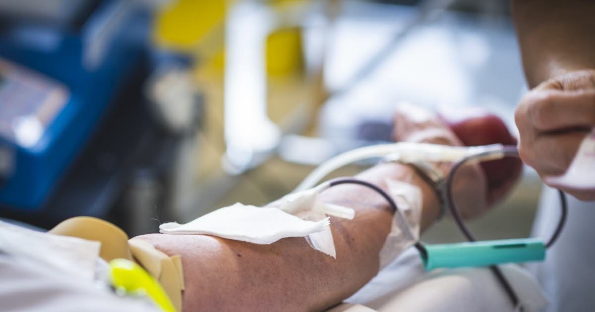 Salud. Donación de sangre: pronto se eliminarán los datos que mencionan relaciones homosexuales.