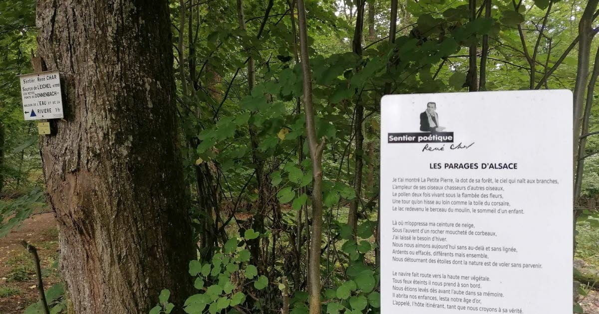 La Petite-Pierre. Der René-Char-Pfad hat zum 25-jährigen Jubiläum des Jardin des Poètes seinen Glanz zurückgewonnen