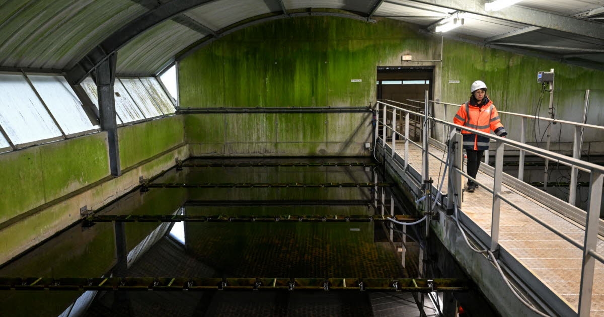 Environment. PFAS in water: drop-by-drop management, without a lasting solution