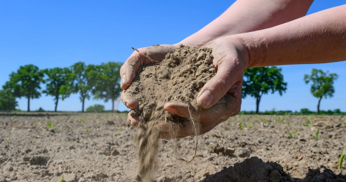Global warming: July on the podium of the hottest months, record drought in Europe