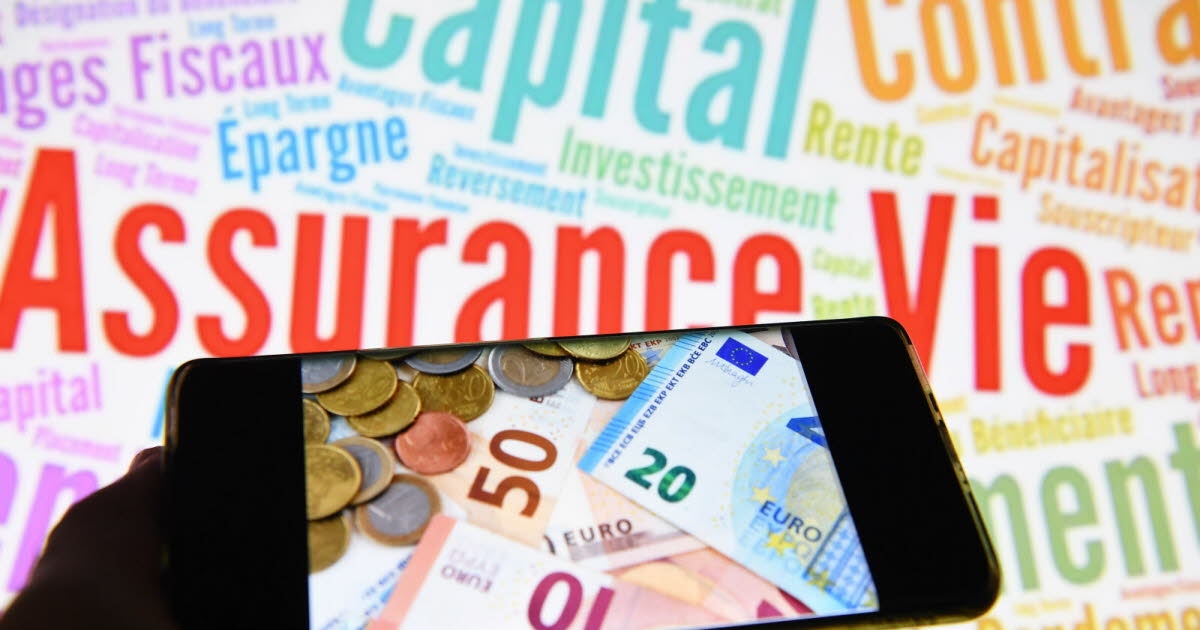 Savings. Worried about their future, the French are rushing to buy life insurance.