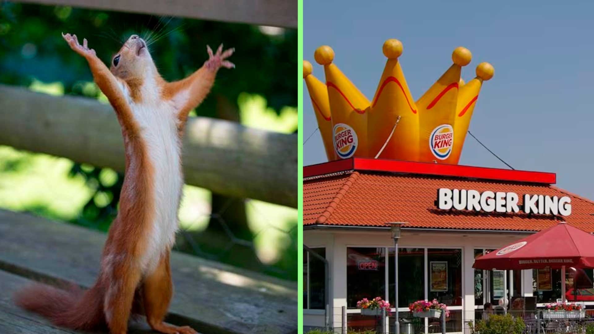 Burger King tiene tantas promos que ya mejor regalará 45 mil Whoopers este 26 de mayo