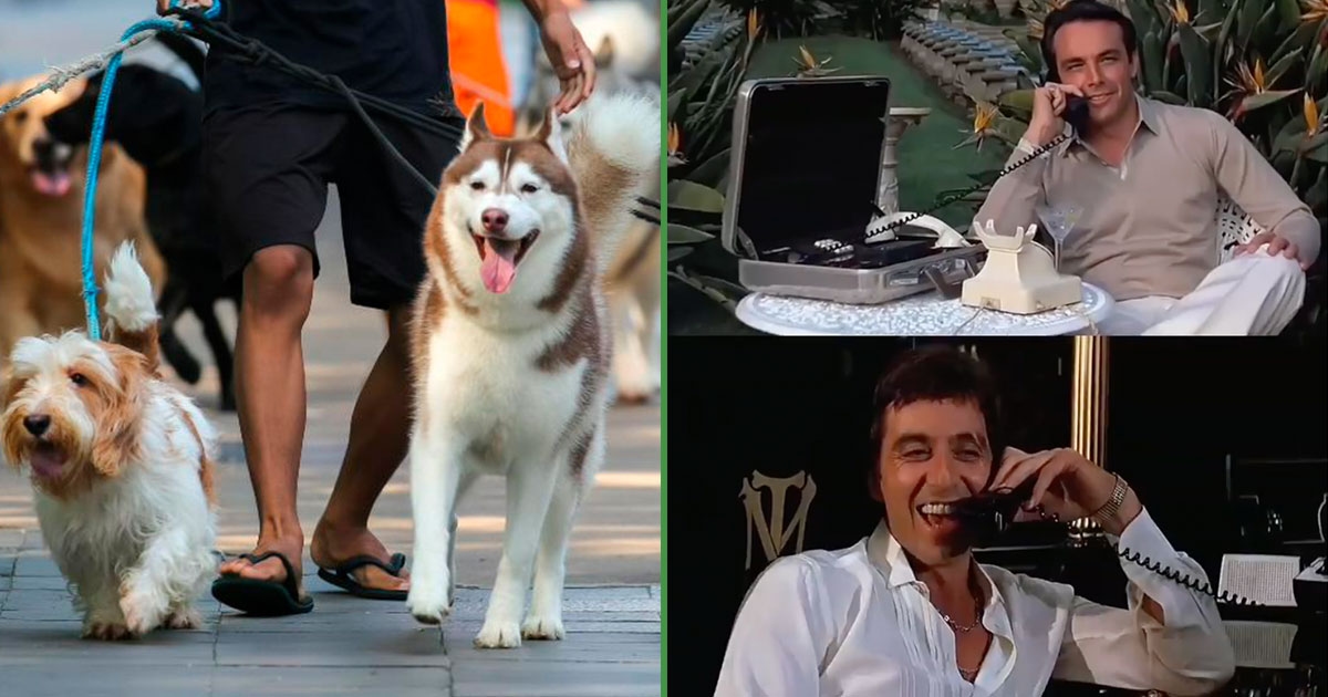 Uno di quei lavori: il dog walker confessa di guadagnare più di 60mila al mese