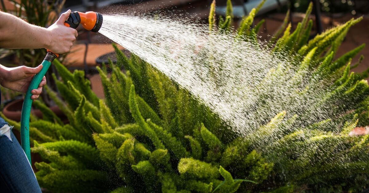 Yorkshire Water anuncia la prohibición de usar mangueras tras el calor: lista completa de actividades prohibidas