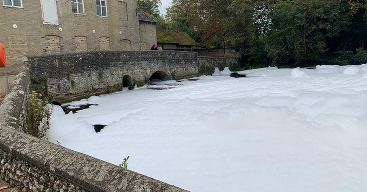 Mystery as white foam appears on UK river where dead fish found