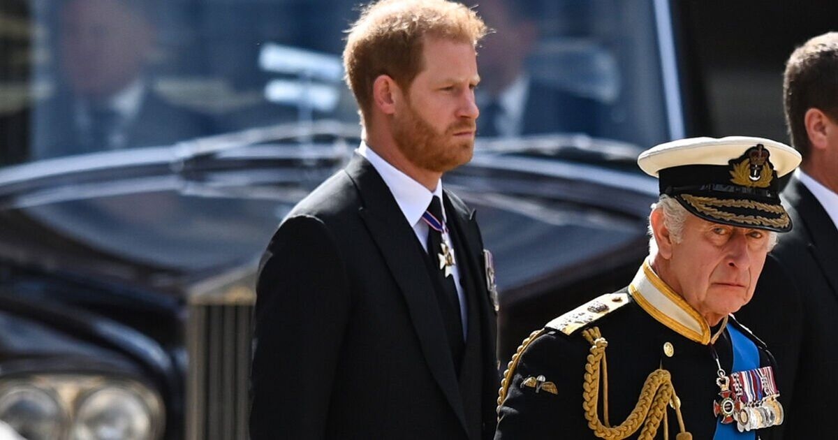 Prens Harry 'en keskin zekalı adam değil' ama 'Kral Charles'ı zayıflattığını' bilmeli