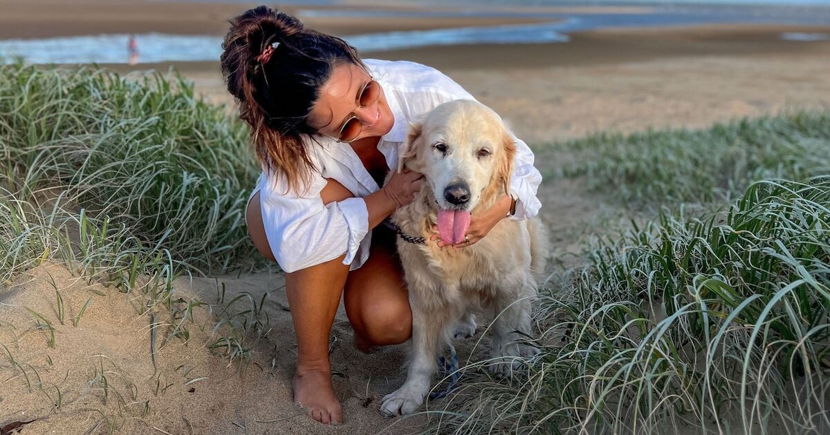 Vet's crucial advice to dog owners as temperatures rise in UK