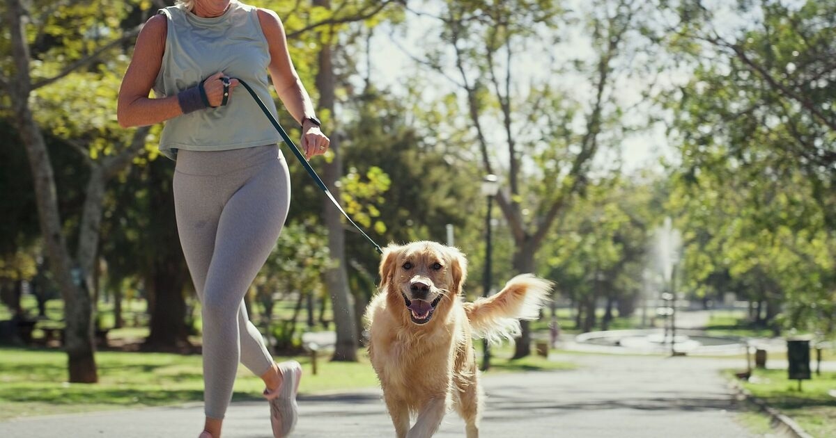 Dog expert shares 'seven second rule' to check it's safe to walk your dog on hot days