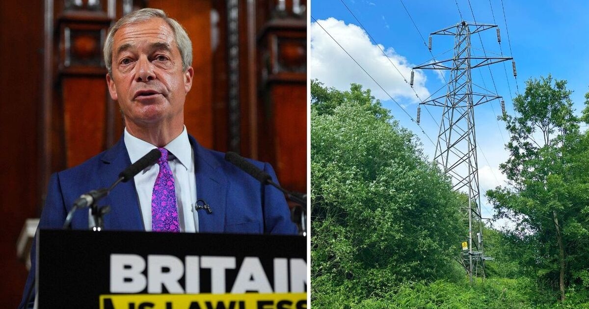 Reform UK könnte in ländlichen Gebieten, wo verhasste Strommasten geplant werden, zunehmen