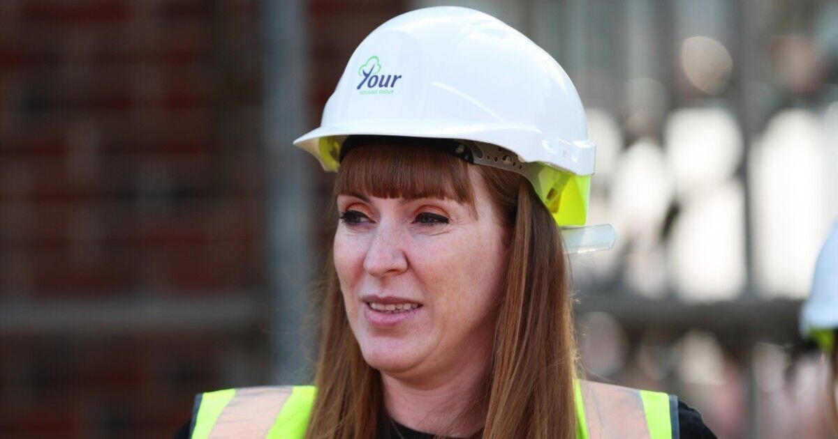 'Arch-hypocrite' Angela Rayner savaged for selling off allotments