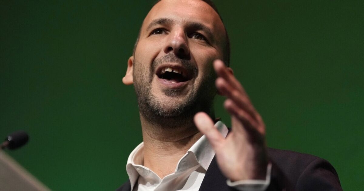 Green Party is it's own worst enemy – Zack Polanski will hate reality of own success