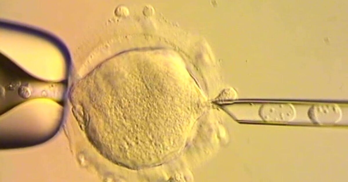 Babies born from 3 people's DNA as scientists make bombshell medical leap