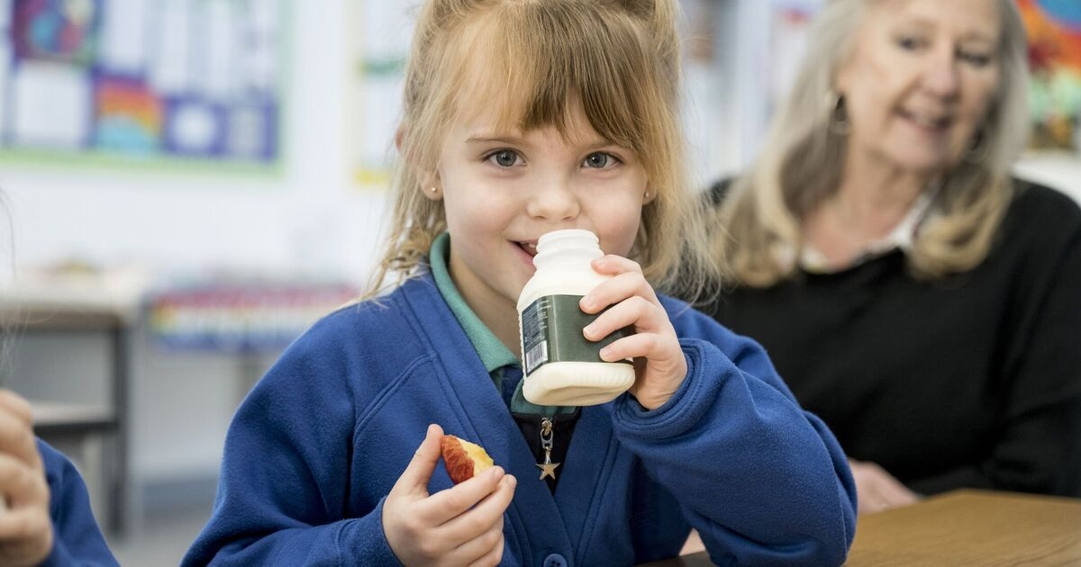 Nuovi club per la colazione scolastica gratuita: cosa devi sapere