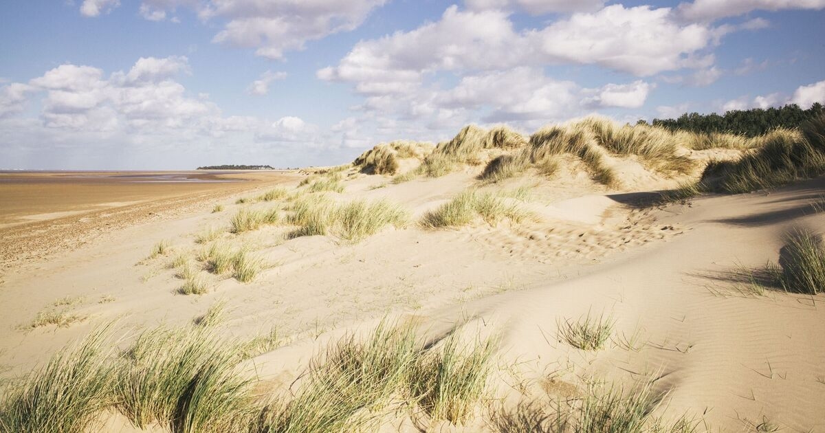 Tourists fall in love with the UK's 'best beach' with the 'most beautiful' sand