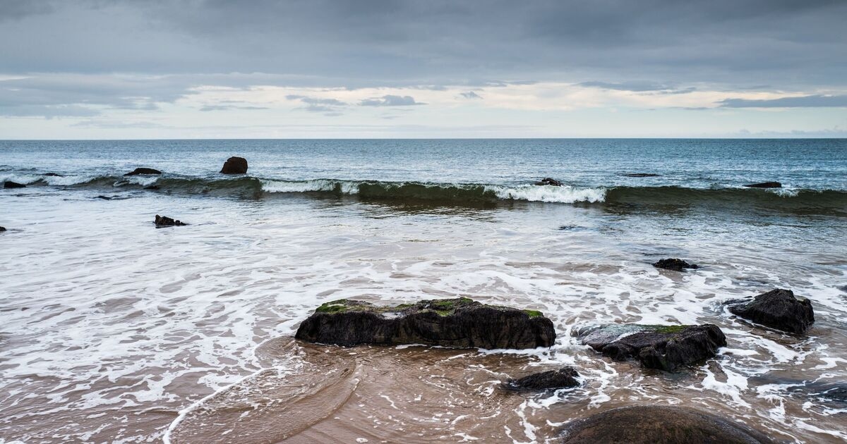Plage « à couper le souffle » avec du sable doré et de superbes piscines rocheuses « parfaites pour la tranquillité »