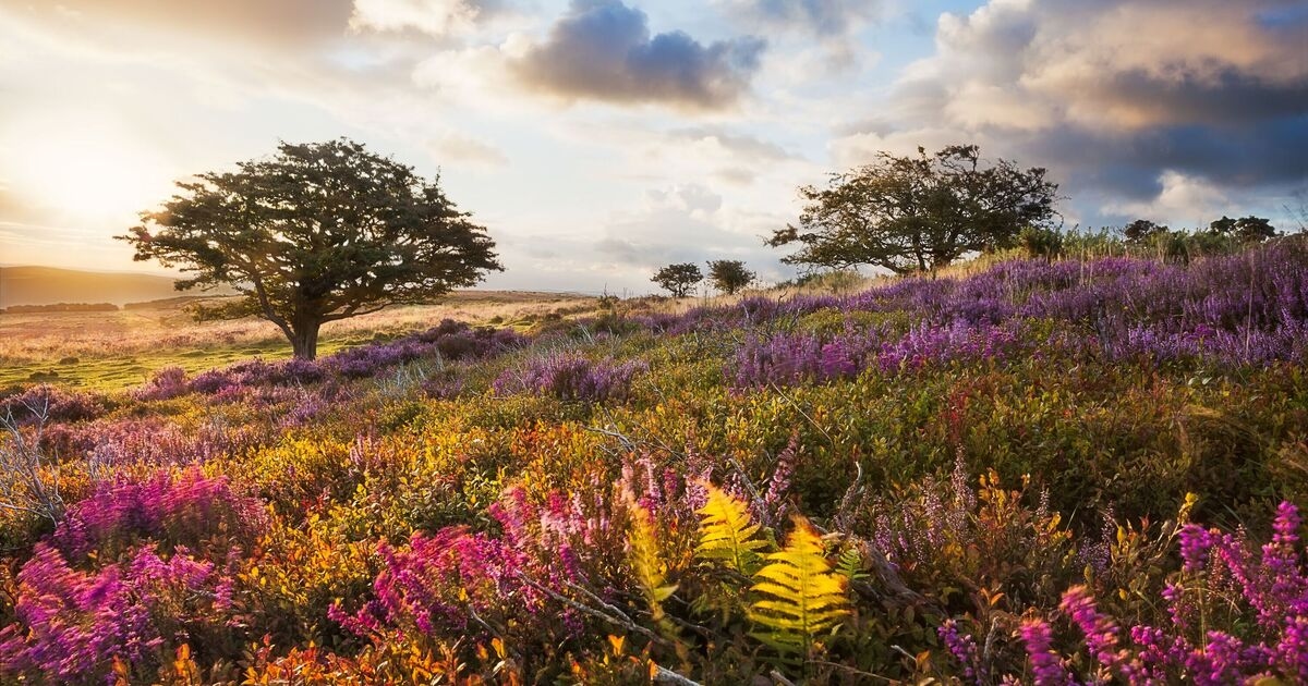 National park with 'cosmic skies' named among UK's most underrated staycation spots