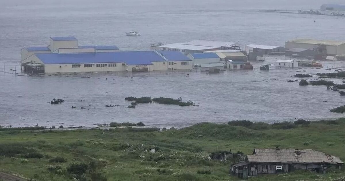 Tsunami na Hawajach NA ŻYWO: Japonia, Rosja i całe zachodnie wybrzeże USA zagrożone falą tsunami