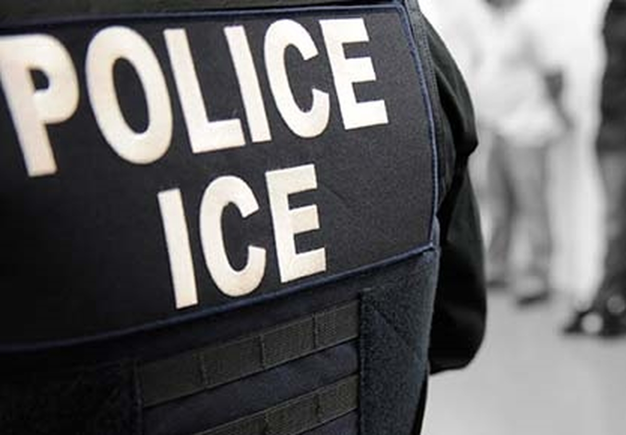 ICE detiene a 9 trabajadores de aserradero de Nueva York. El propietario afirma que se encuentra legalmente en EE. UU.