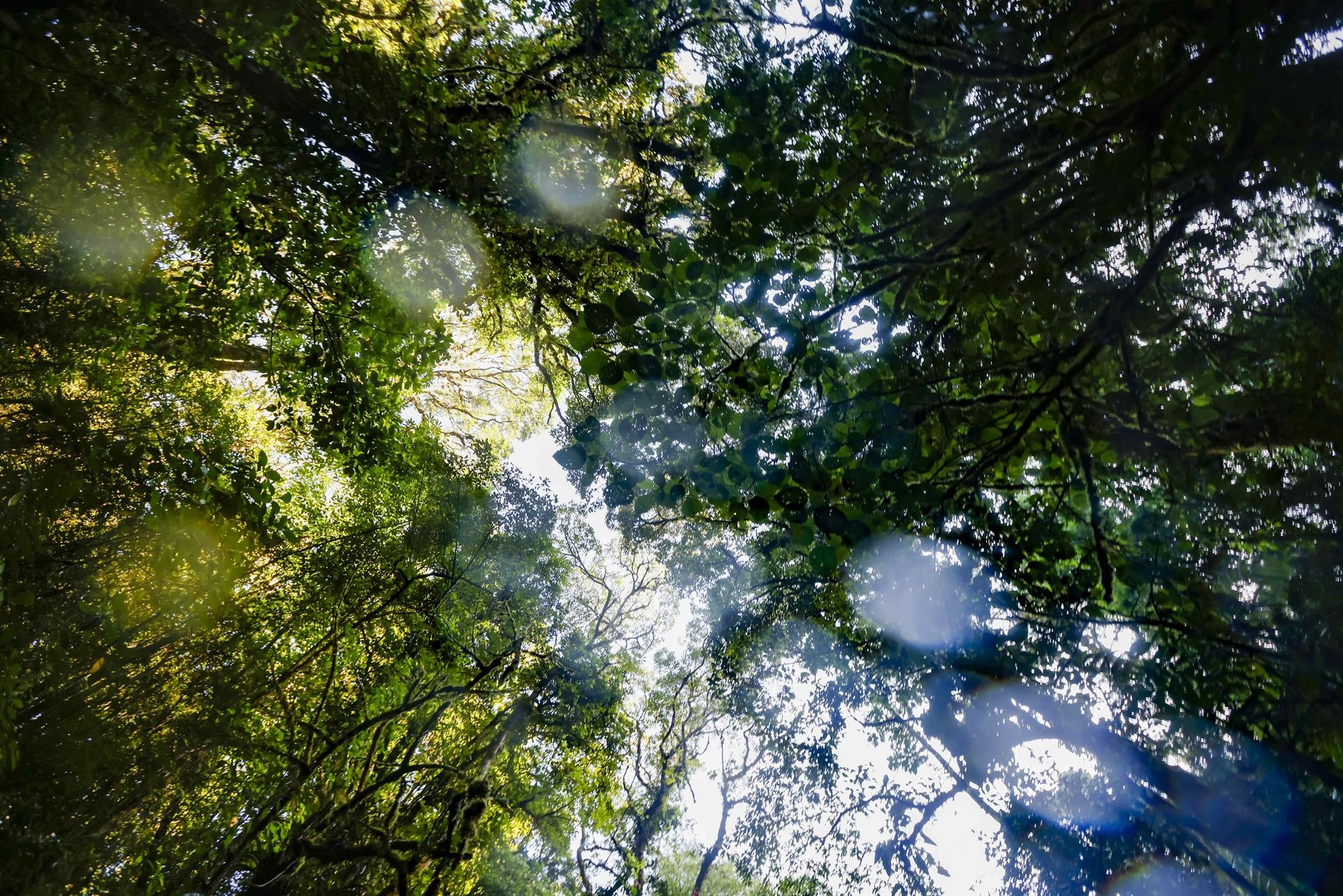 Conferência sobre turismo sustentável apela à abordagem das alterações climáticas e da gentrificação