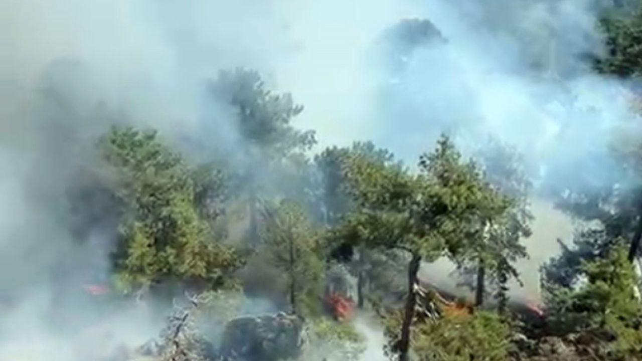 Fire broke out in Köyceğiz Otmanlar: Intervention continues