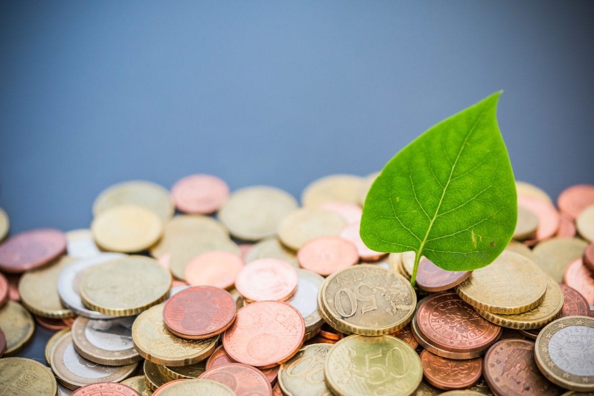 Investimenti sostenibili ESG con BBVA in Europa: investi con consapevolezza e potenziale di profitto! Il futuro è verde