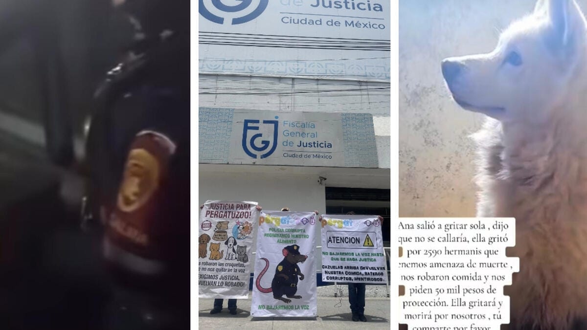 Caso Pergatuzoo: il governo di Città del Messico sotto pressione per la crisi delle estorsioni