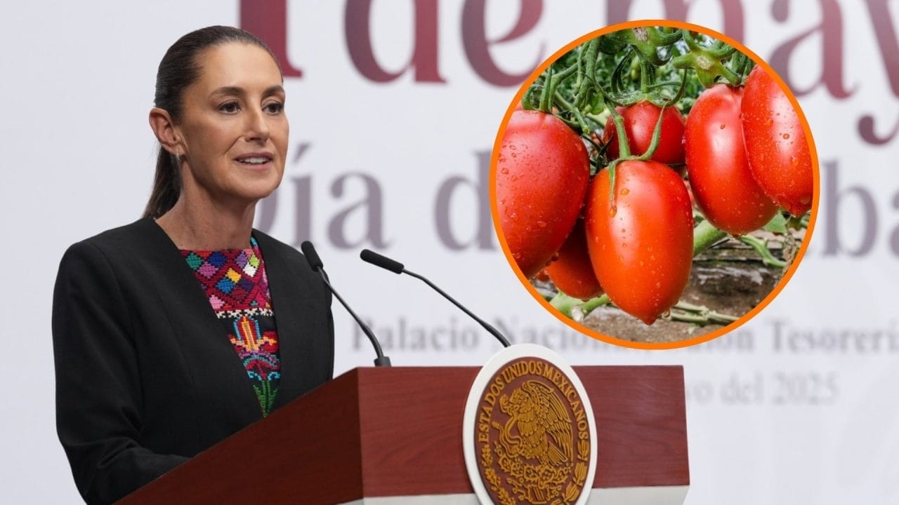 Sheinbaum afferma che il piano messicano risponde ai dazi statunitensi sul pomodoro senza scontro
