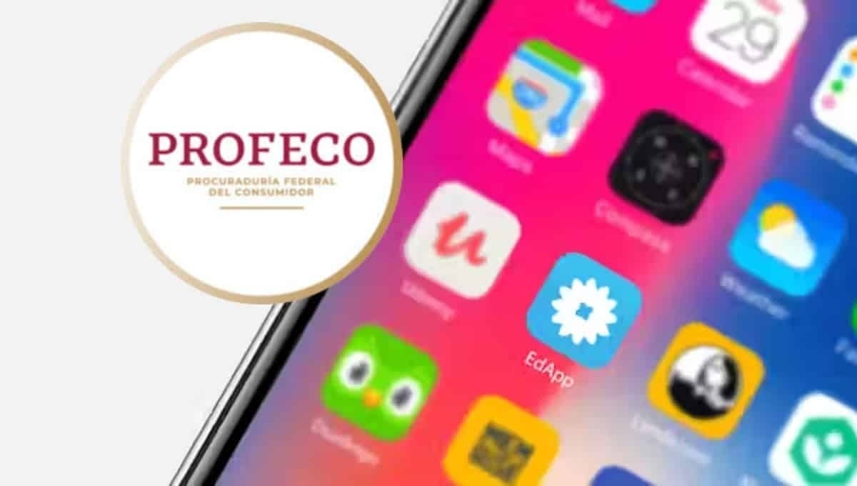 How to choose the best back-to-school apps according to Profeco
