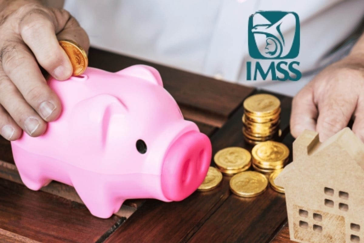 É assim que você pode recuperar suas semanas de contribuição ao IMSS e proteger sua aposentadoria.
