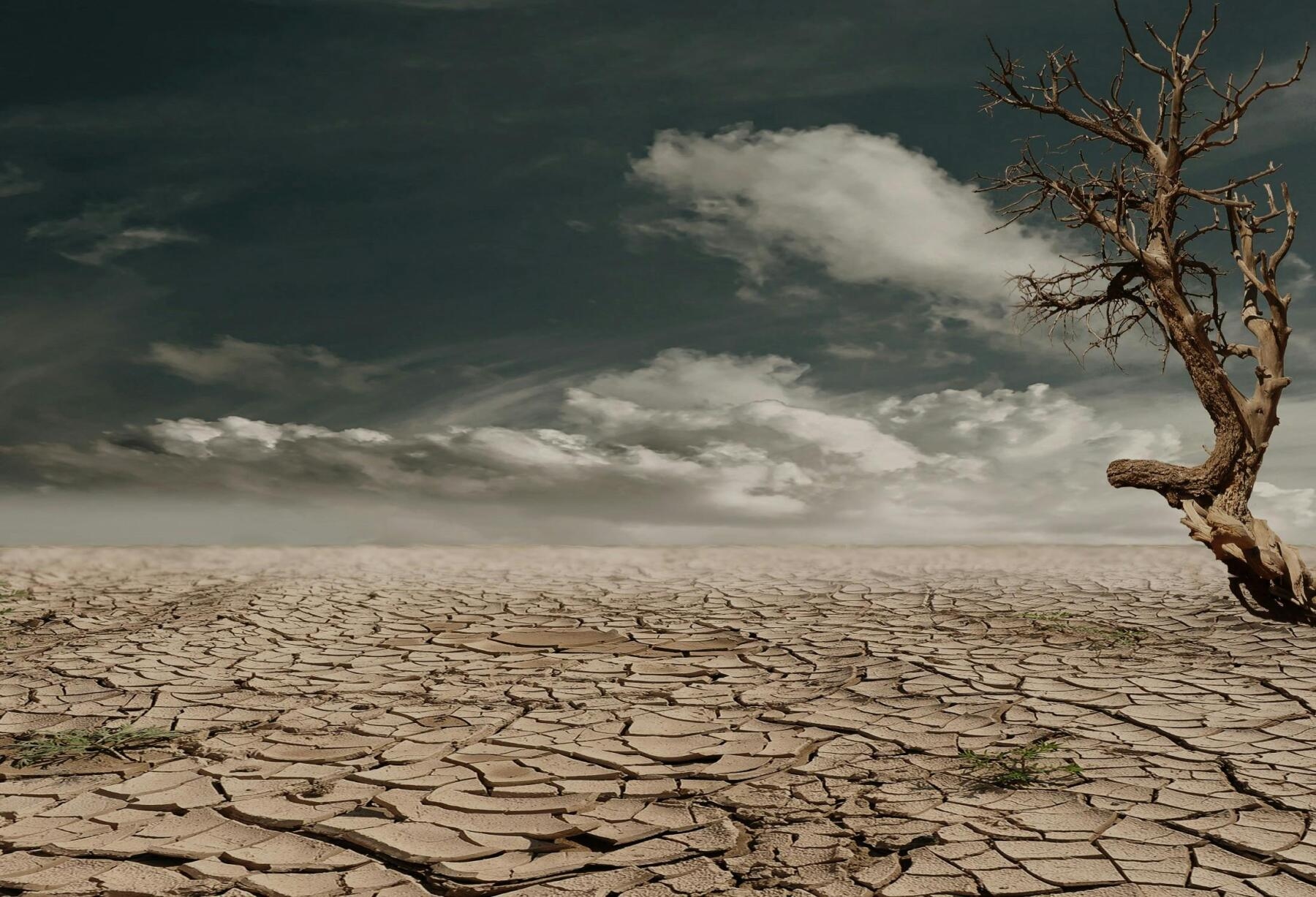 Para 53% das empresas italianas, o clima não é um risco