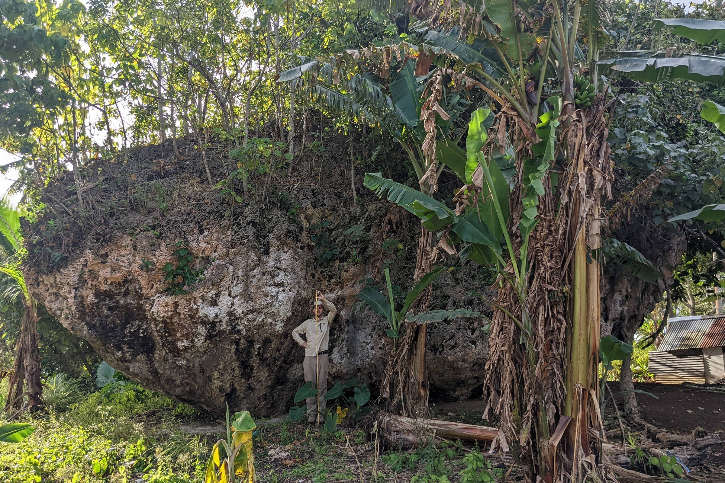 Cómo una roca gigante se movió sobre un acantilado en una isla del Pacífico