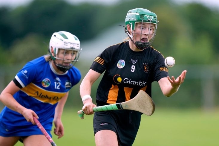 Murphy happy to step up to the plate for Kilkenny
