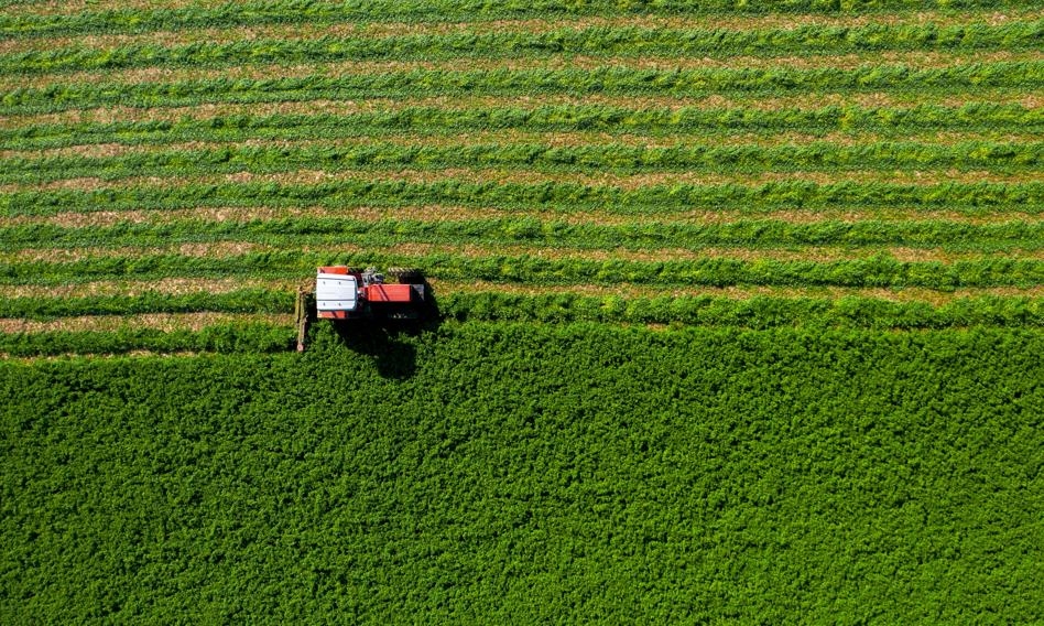 As mudanças climáticas forçaram um experimento agrícola bem-sucedido. Os resultados superaram as expectativas.