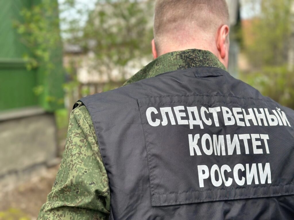 Next week, the head of the Novgorod Investigative Committee of the Russian Federation will hold a citizen’s reception