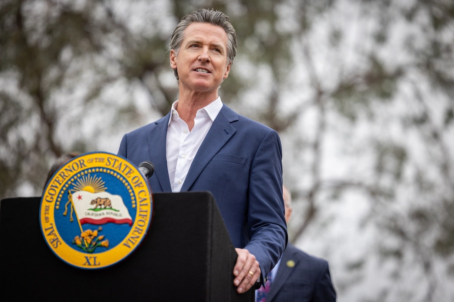 Gavin Newsom Seeks to Rein in the AI Wild West