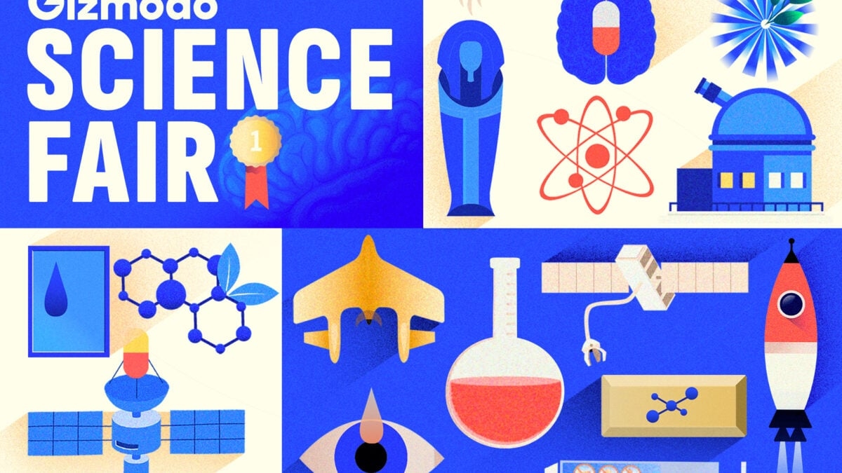 2025 Gizmodo Bilim Fuarı'nın Kazananları