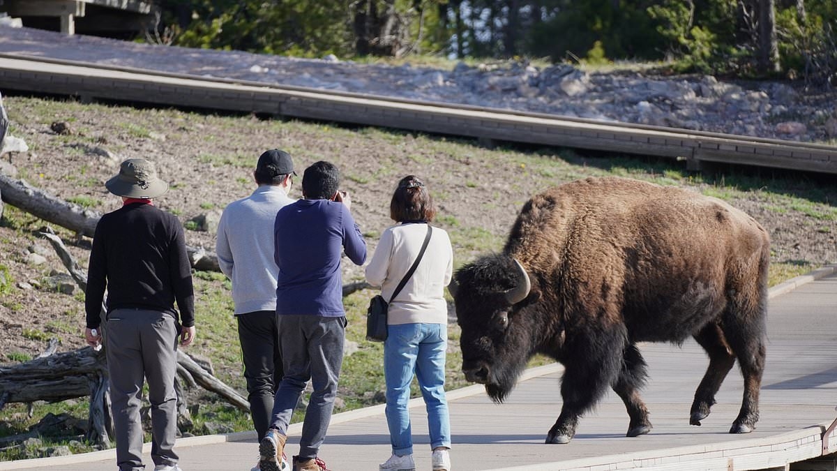 Los peores errores de etiqueta turística revelados por los lugareños: desde caminar demasiado lento hasta posar junto a monumentos y animales salvajes