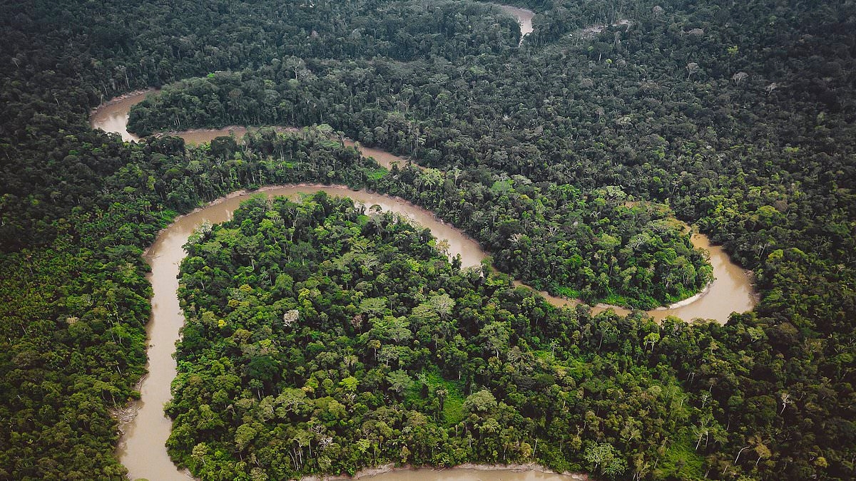 De rivier die voor haar eigen toekomst kan vechten in de rechtbank