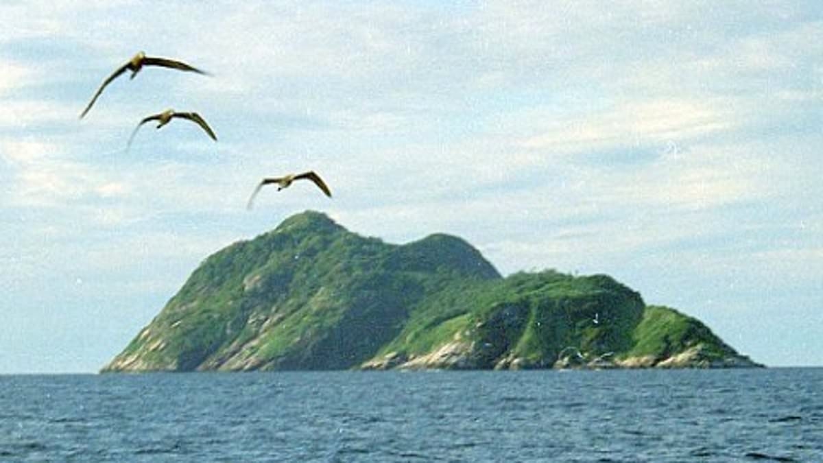All'interno dell'isola terrificante dove solo soldati e scienziati possono entrare