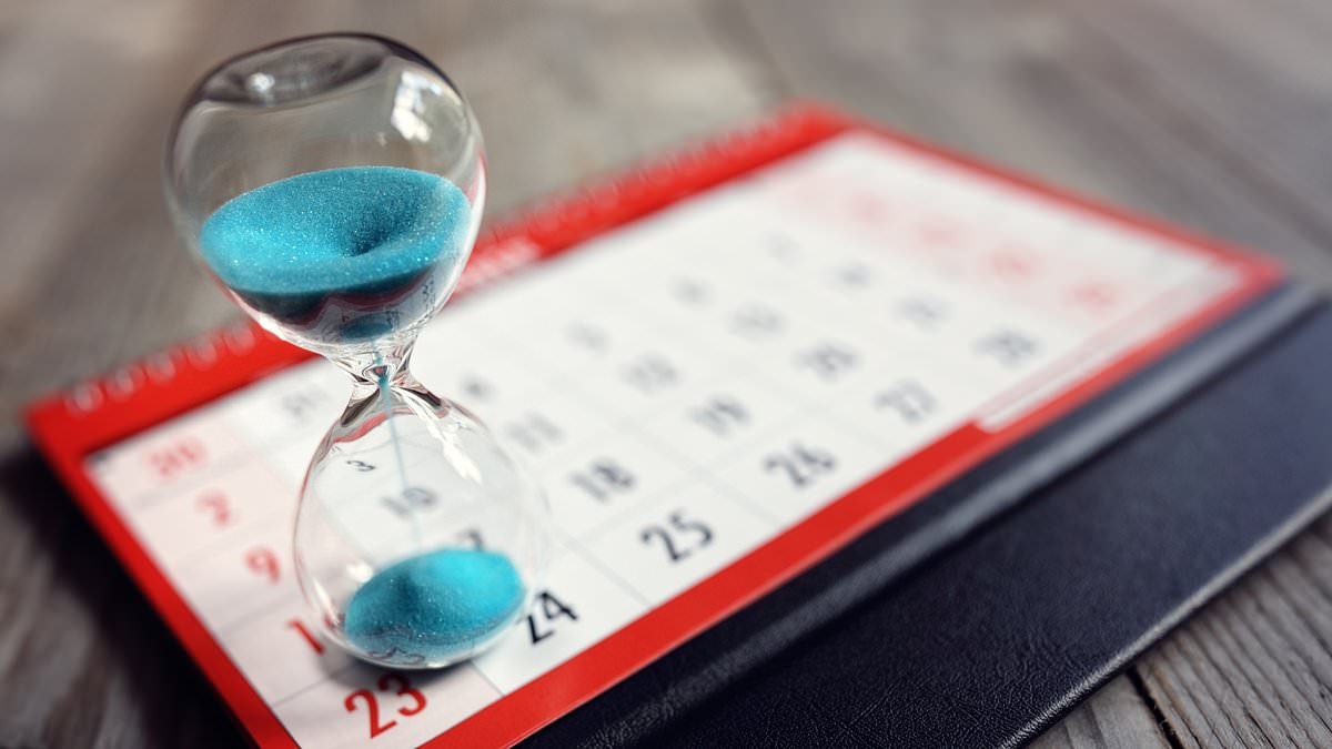 ¿Qué tan rápido se puede divorciarse? Problemas comunes y cómo evitar disputas que consumen mucho tiempo.