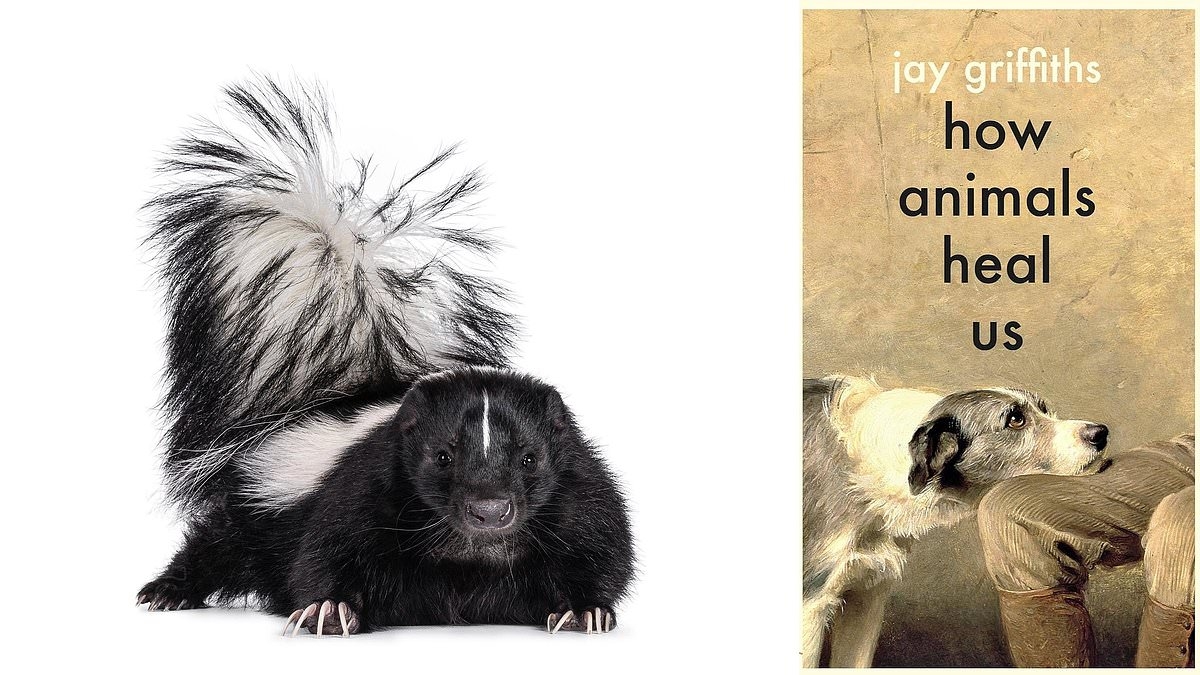 Wie Tiere uns heilen von Jay Griffiths: Vergessen Sie Hunde, holen Sie sich ein THERAPIE-STINKTIER