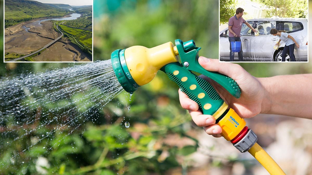 Drivers told 'do not wash your car' within days as summer warning is issued