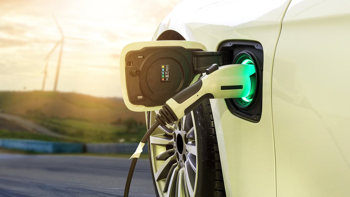 How sustainable are EVs and why is the Government only offering grants to 'truly green' electric cars?