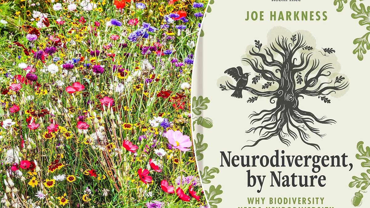 Neurodivergent, By Nature by Joe Harkness: Why people with autism are at one with nature