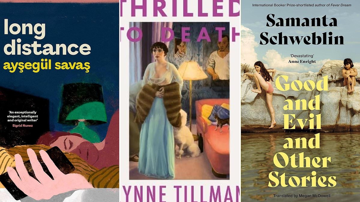 Subtle and astounding short stories: GOOD AND EVIL AND OTHER STORIES by Samanta Schweblin, THRILLED TO DEATH by Lynne Tillman, LONG DISTANCE by Aysegül Savas